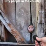 cringe memes nsfw text: City people in the cou try.  nsfw