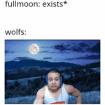 Dank Memes Dank, Tyler1, Wolves, OC text:  Dank, Tyler1, Wolves, OC