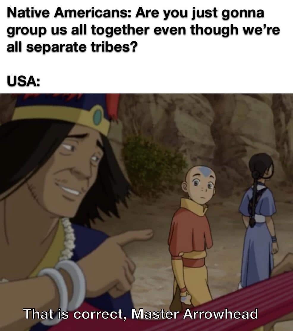 History, Native Americans, Avatar, Navajo, Indians, Europeans History Memes History, Native Americans, Avatar, Navajo, Indians, Europeans text: Native Americans: Are you just gonna group us all together even though we're all separate tribes? USA: That is correct, Master Arrowhead 