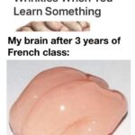 other memes Funny, Spanish, English, Je, Lissencephaly, German text: You Get New Brain Wrinkles When You Learn Something My brain after 3 years of French class:  Funny, Spanish, English, Je, Lissencephaly, German