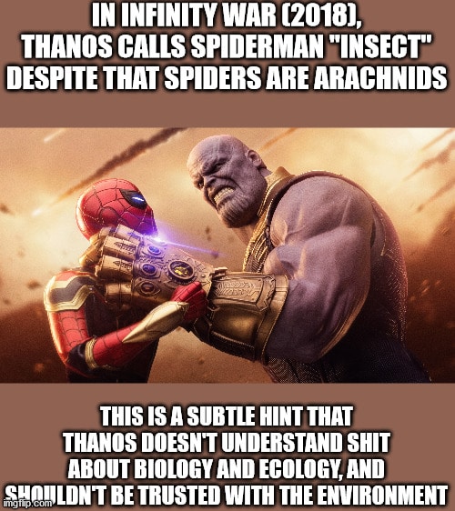 Thanos, Thanos Avengers Memes Thanos, Thanos text: IN INFINITY WAR (20181, THANOS CALLS SPIDERMAN 