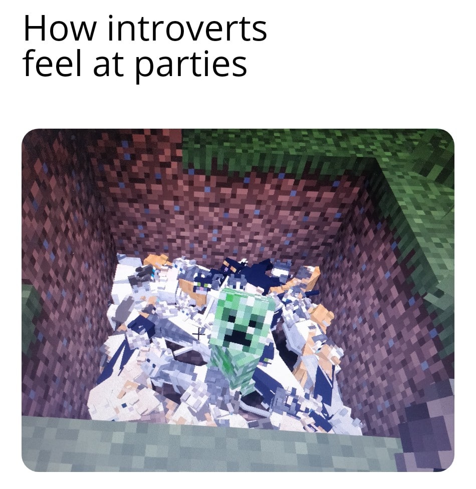 Minecraft,  minecraft memes Minecraft,  text: How introverts feel at parties 