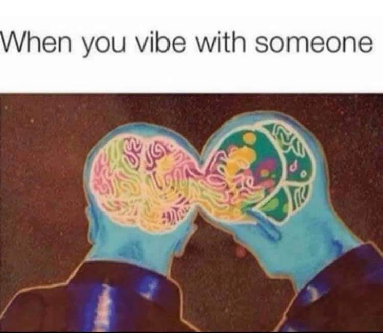 Wholesome memes,  Wholesome Memes Wholesome memes,  text: When you vibe with someone 