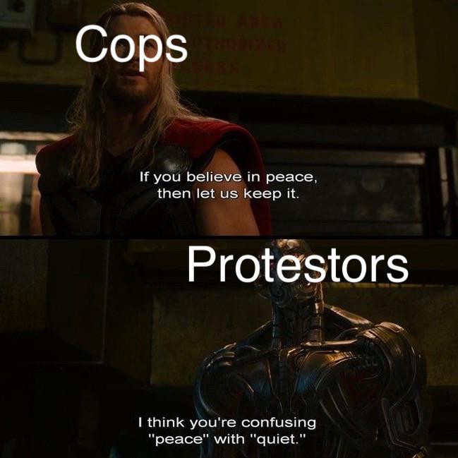Thanos, Black Panther Avengers Memes Thanos, Black Panther text: Cops If you believe in peace, then let us keep it. Protestors I think you're confusing 'peace