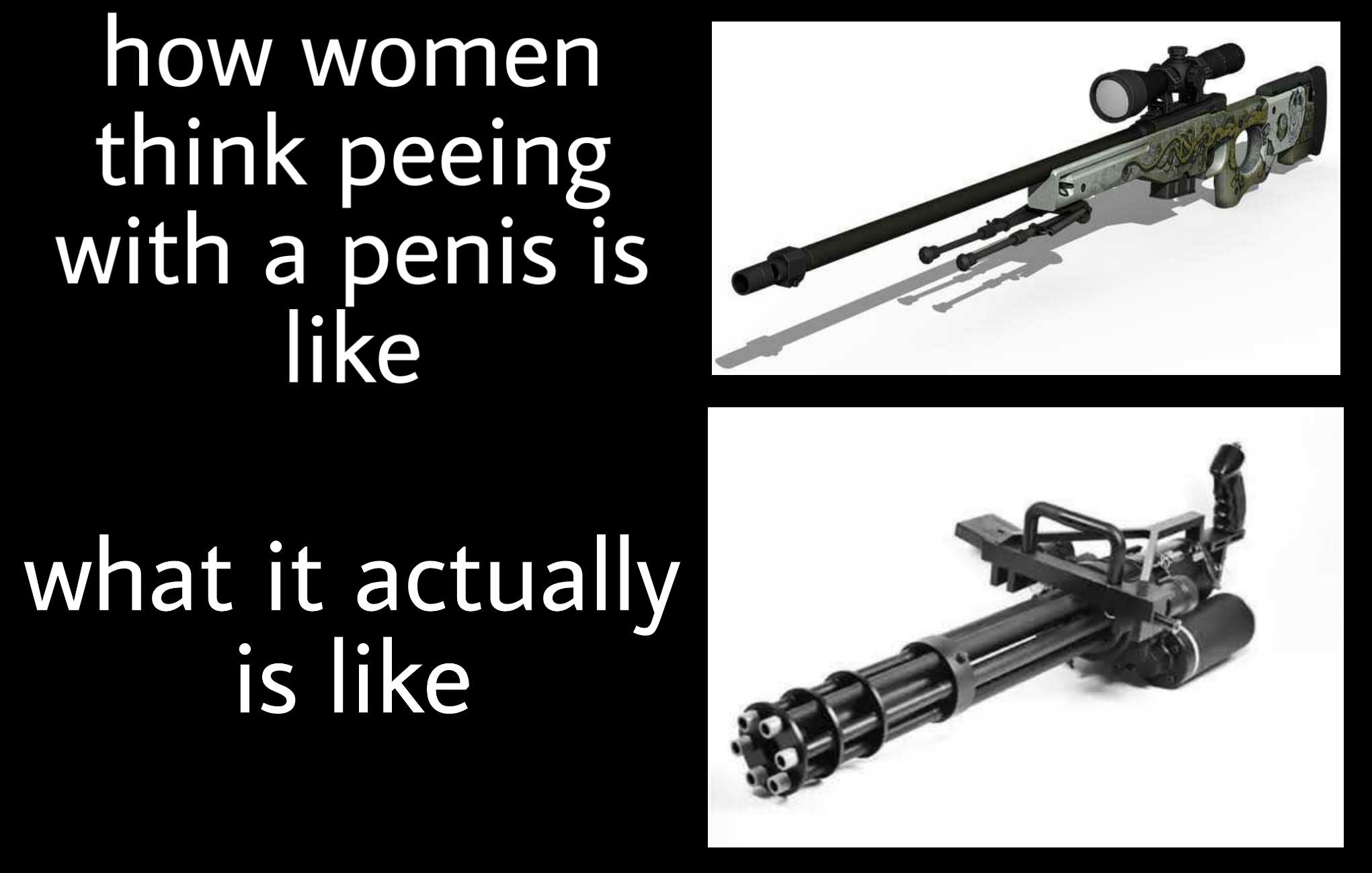 Funny, AWP, Worm God, WP, Negev, Machine other memes Funny, AWP, Worm God, WP, Negev, Machine text: how women think peeing with a penis is like what it actually is like 