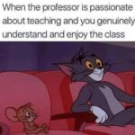 Wholesome Memes Wholesome memes, French text: When the professor is passionate about teaching and you genuinely understand and enjoy the class  Wholesome memes, French