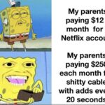Spongebob Memes Spongebob, Netflix, Disney, Hulu text: My parents paying $12 a month for a Netflix account My parents paying $250 each month for shitty cable with adds every 20 seconds  Spongebob, Netflix, Disney, Hulu