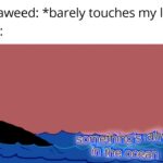 other memes Funny, Bill Wurtz, Jesus, India text: Seaweed: *barely touches my leg* h JSaoean  Funny, Bill Wurtz, Jesus, India