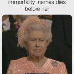 other memes Funny, Queen, Shame, Prince Phillip, John Noble text: Queen Elizabeth when her immortality memes dies before her SHAME MEMES 