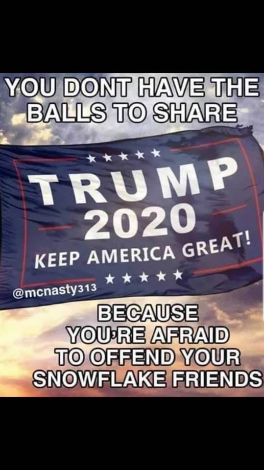 Political, Trump, Ohio, America, Obama, Michigan boomer memes Political, Trump, Ohio, America, Obama, Michigan text: YOUØDONT HAVE THE TO SHAæ TRUMP 2020 KEEP AMERICA GREAT! @mcnasW313 BECAUSE YOU'RE AFRAID TO OFFEND YOUR SNOWFLAKE FRIENDS 