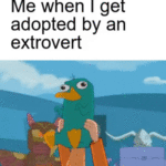 Wholesome Memes Wholesome memes,  text: Me when I get adopted by an extrovert  Wholesome memes, 