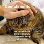 Wholesome Memes Wholesome memes, Gf text: Complimen Me anxious hd confused as why ——6 yomeone