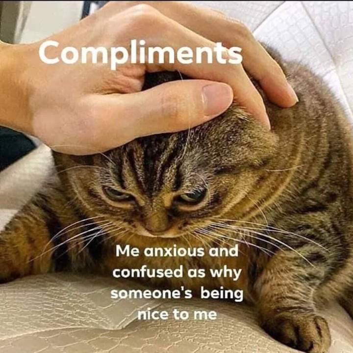 Wholesome memes, Gf Wholesome Memes Wholesome memes, Gf text: Complimen Me anxious hd confused as why ——6 yomeone's being ce tome 