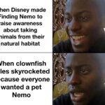 other memes Funny, Nemo, Disney, Pixar, Finding Nemo, Dalmatians text: When Disney made Finding Nemo to raise awareness about taking animals from their natural habitat When clownfish sales skyrocketed because everyone wanted a pet Nemo  Funny, Nemo, Disney, Pixar, Finding Nemo, Dalmatians