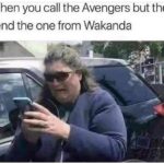 other memes Dank, Visit, Negative, Feedback, False Negative, False text: Nhen you call the Avengers but the) End the one from Wakanda  Dank, Visit, Negative, Feedback, False Negative, False