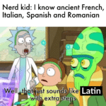 History Memes History, Latin, Romanian, Portuguese, Italian, French text: Nerd kid: I know ancient French, Italian, Spanish and Romanian - Latin 