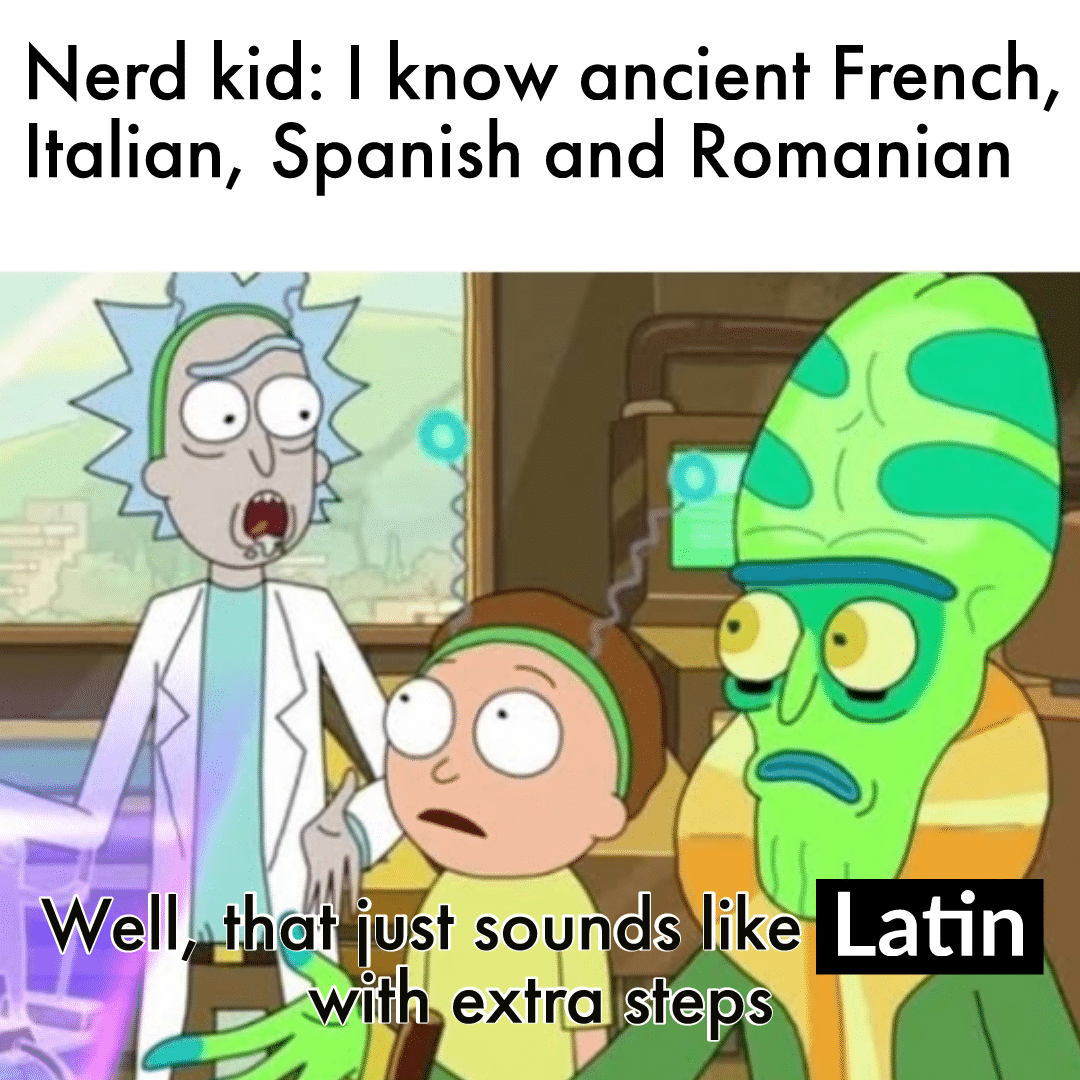 History, Latin, Romanian, Portuguese, Italian, French History Memes History, Latin, Romanian, Portuguese, Italian, French text: Nerd kid: I know ancient French, Italian, Spanish and Romanian - Latin 'Well that iust SOUndS like with extra steps 