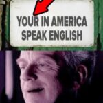 other memes Funny, English, American, Americans, Spanish, In America text: YOUR IN AMERICA SPEAK ENGLISH imgffpcom  Funny, English, American, Americans, Spanish, In America