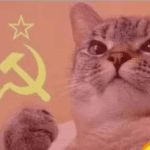 Communist cat Political meme template blank  Political, Cat, Communism, Socialism