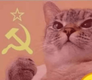 Communist cat Political meme template
