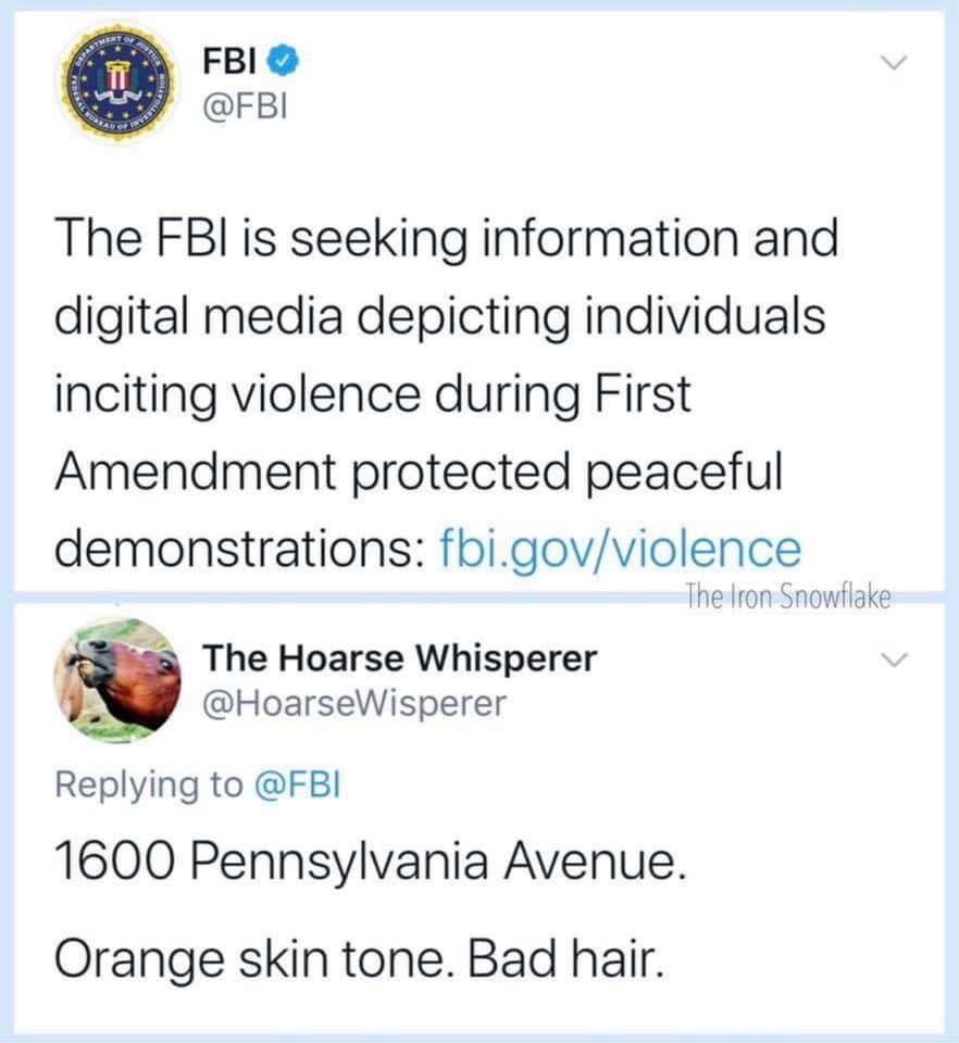 Political, Melania Political Memes Political, Melania text: FBI e @FBI The FBI is seeking information and digital media depicting individuals inciting violence during First Amendment protected peaceful demonstrations: fbi.gov/violence The Iron Snowflake The Hoarse Whisperer @HoarseWisperer Replying to @FBI 1600 Pennsylvania Avenue. Orange skin tone. Bad hair. 
