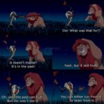 Wholesome Memes Wholesome memes, Simba, Rafiki text: Ow! What was that for!? It doesn