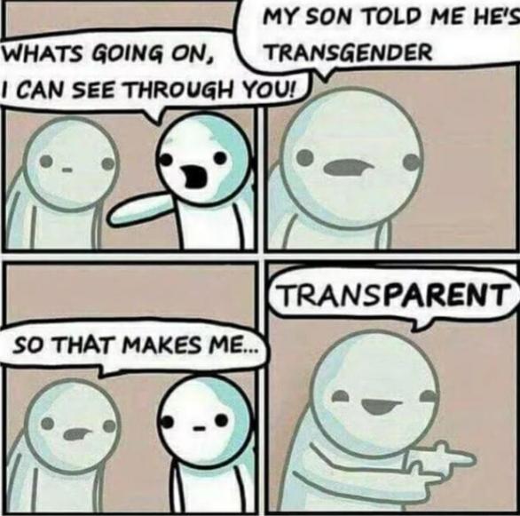 Wholesome memes,  Wholesome Memes Wholesome memes,  text: MY SON TOLD ME HE'S WHATS GOING ON, TRANSGENDER I CAN SEE THROUGH you! TRANSPARENT SO THAT MAKES ME... 