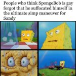Spongebob Memes Spongebob, Spongebob, Spielberg, Sandy, Nickelodeon, Hillenburg text: People who think SpongeBob is gay forgot that he suffocated himself in the ultimate simp maneuver for Sandy  Spongebob, Spongebob, Spielberg, Sandy, Nickelodeon, Hillenburg