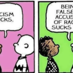 boomer memes Political, Franklin, Charlie Brown, Peanuts, MLK Jr text: RACISM SUCKS. BEING FALSELY ACCUSED OF RACISM SUCKS TOO. 