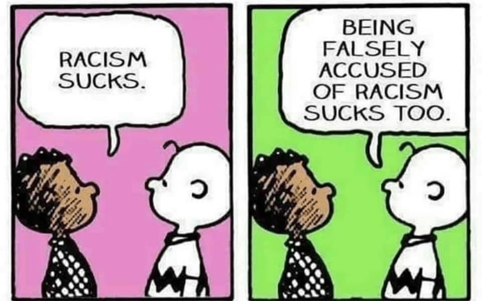 Political, Franklin, Charlie Brown, Peanuts, MLK Jr boomer memes Political, Franklin, Charlie Brown, Peanuts, MLK Jr text: RACISM SUCKS. BEING FALSELY ACCUSED OF RACISM SUCKS TOO. 
