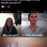 Star Wars Memes Sequel-memes, Fuck, Skywalker, Luke, Rey, Leia text: r/AskReddit u/Tdagarim95 • 8h You are allowed to put one F-bomb in the entire Star Wars saga. Where would you put it? 1.2k Whb are 1.1k Share I