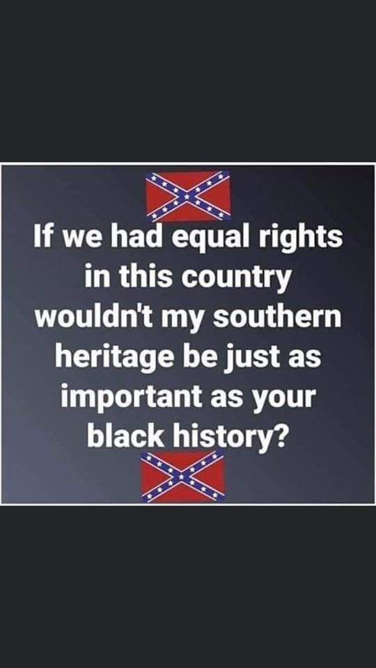 Political, Gram boomer memes Political, Gram text: If we had equal rights in this country wouldn't my southern heritage be just as important as your black history? 