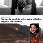 Star Wars Memes Prequel-memes, Produced, Mary Sue, Ironic, Padme, Palpatine text: ideapod.com You can die simply by giving up the will to live, suggests new research They called me a madman.  Prequel-memes, Produced, Mary Sue, Ironic, Padme, Palpatine