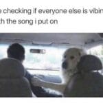 Wholesome Memes Wholesome memes, Gotta text: me checking if everyone else is vibing with the song i put on  Wholesome memes, Gotta