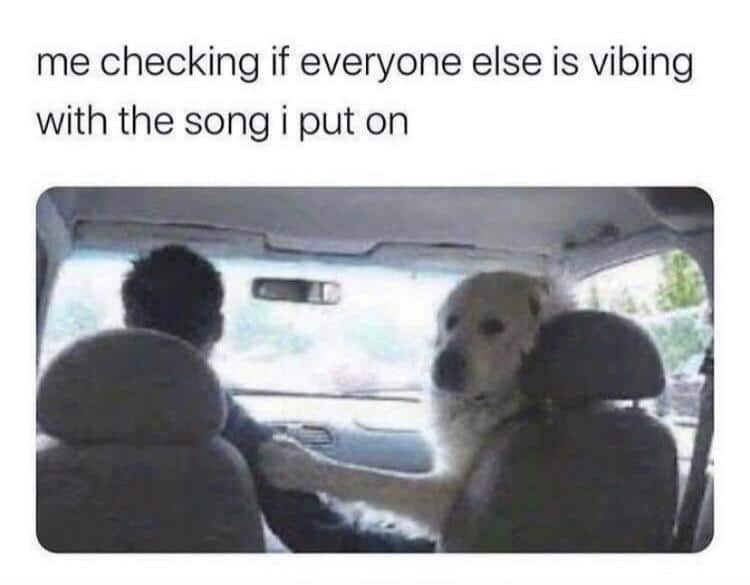 Wholesome memes, Gotta Wholesome Memes Wholesome memes, Gotta text: me checking if everyone else is vibing with the song i put on 
