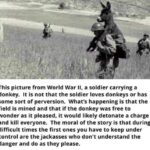 other memes Dank, Visit, OC, Negative, JPEG, Feedback text: This picture from World War Il, a soldier carrying a donkey. It is not that the soldier loves donkeys or has some sort of perversion. What