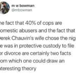 feminine memes Women, AskSocialScience text: m w bowman @mbowman the fact that 40% of cops are domestic abusers and the fact that Derek Chauvin