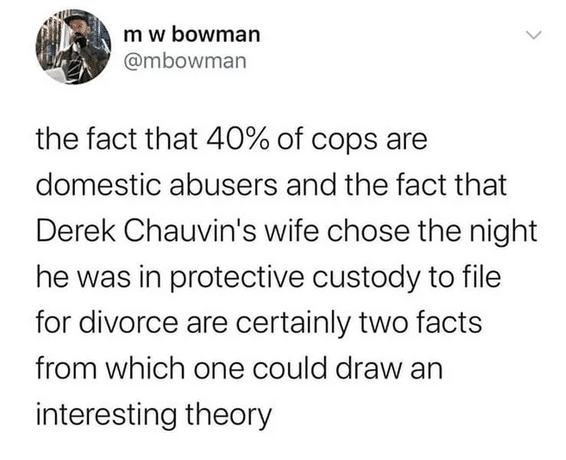 Women, AskSocialScience feminine memes Women, AskSocialScience text: m w bowman @mbowman the fact that 40% of cops are domestic abusers and the fact that Derek Chauvin's wife chose the night he was in protective custody to file for divorce are certainly two facts from which one could draw an interesting theory 