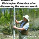 History Memes History, Columbus, Asia, Japan, India, India text: Nobody: Christopher Columbus after discovering the western world: r . Yo wav:it: is". 