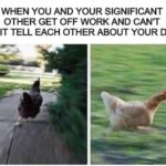 Wholesome Memes Wholesome memes, Love text: WHEN YOU AND YOUR SIGNIFICANT OTHER GET OFF WORK AND CAN