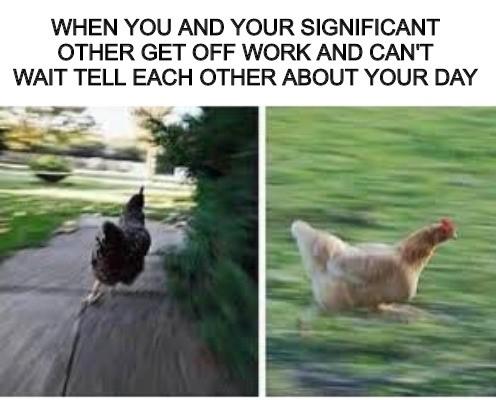 Wholesome memes, Love Wholesome Memes Wholesome memes, Love text: WHEN YOU AND YOUR SIGNIFICANT OTHER GET OFF WORK AND CAN'T WAIT TELL EACH OTHER ABOUT YOUR DAY 
