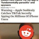 other memes Funny, Reddit, Chinese, TikTok, CEO, Reddit CEO text: Reddit CEO claims TikTok app is 