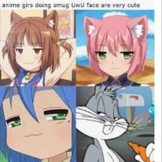 Anime,  Anime Memes Anime,  text: anime girs doing smug lace are very cute 