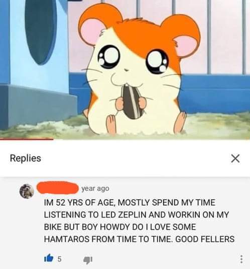 Wholesome memes, Hamtaro, Jimmy, THE_PACK, Sailor Moon, OOD FELLERS Wholesome Memes Wholesome memes, Hamtaro, Jimmy, THE_PACK, Sailor Moon, OOD FELLERS text: Replies year ago x 1M 52 YRS OF AGE. MOSTLY SPEND MY TIME LISTENING TO LED ZEPLIN AND WORKIN ON MY BIKE BUT BOY HOWDY DO I LOVE SOME HAMTAROS FROM TIME TO TIME. GOOD FELLERS 