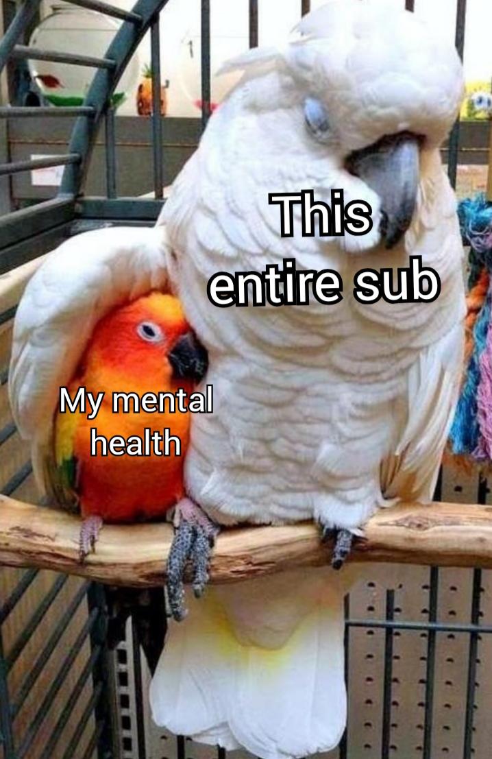 Wholesome memes,  Wholesome Memes Wholesome memes,  text: 'X This entire My mental health 
