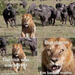 other memes Funny, This Is Patrick, The Lion King, Mufasa, Mafs, Lion King text: *The isk s méd h.mem tiey But.damn 