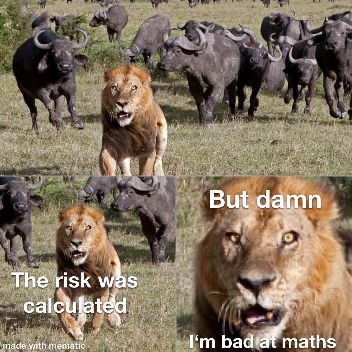 Funny, This Is Patrick, The Lion King, Mufasa, Mafs, Lion King other memes Funny, This Is Patrick, The Lion King, Mufasa, Mafs, Lion King text: *The isk s méd h.mem tiey But.damn 'l„'m bad math 