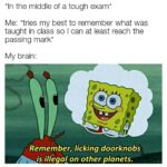 Spongebob Memes Spongebob,  text: *In the middle of a tough exam* Me: *tries my best to remember what was taught in class so I can at least reach the passing mark* My brain: Remember, licking doorknobs is illegal on other planets.  Spongebob, 