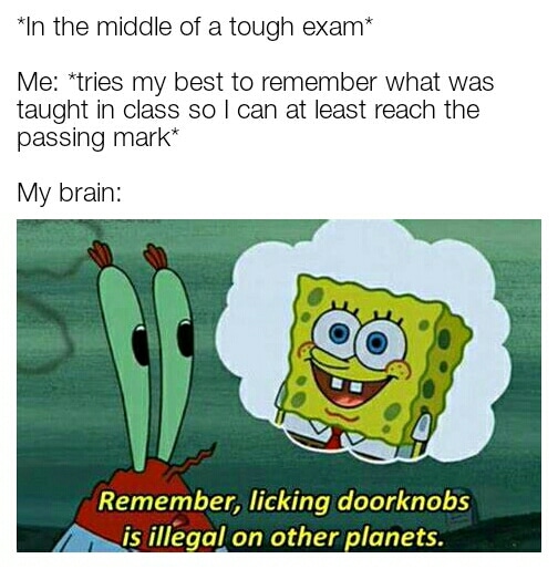 Spongebob,  Spongebob Memes Spongebob,  text: *In the middle of a tough exam* Me: *tries my best to remember what was taught in class so I can at least reach the passing mark* My brain: Remember, licking doorknobs is illegal on other planets. 