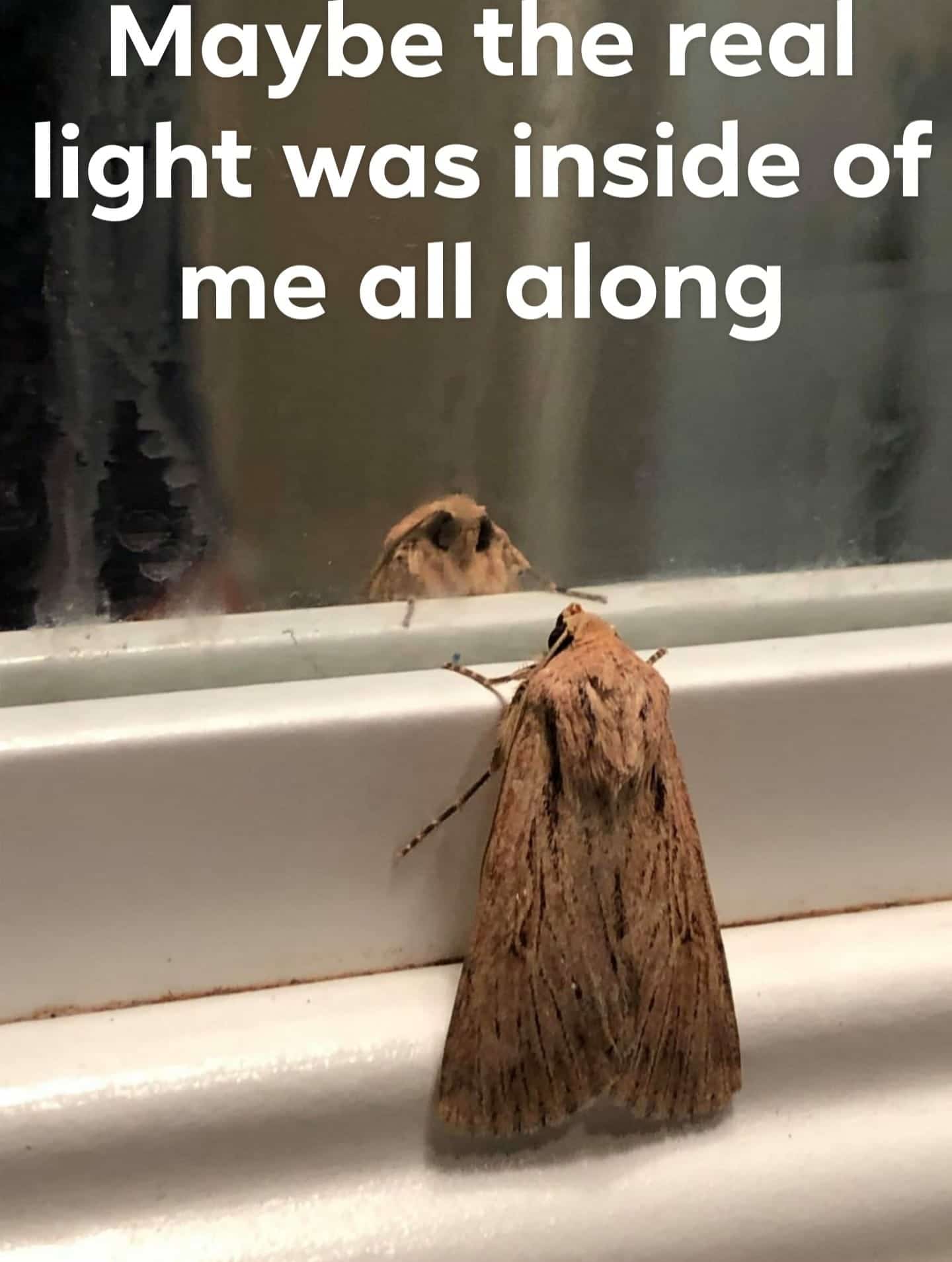 Wholesome memes, Maybe Wholesome Memes Wholesome memes, Maybe text: Maybe the real light was inside of me all along 